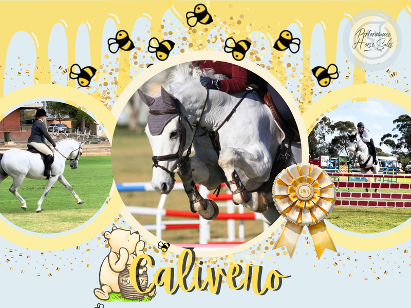 Calivero - super schoolmaster 120 WB