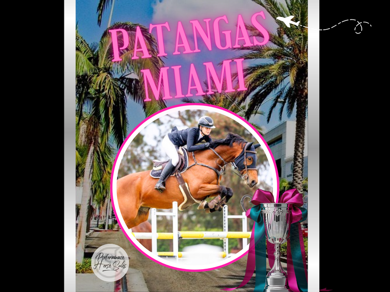 Patangas Miami - Future Star WB jumping 120