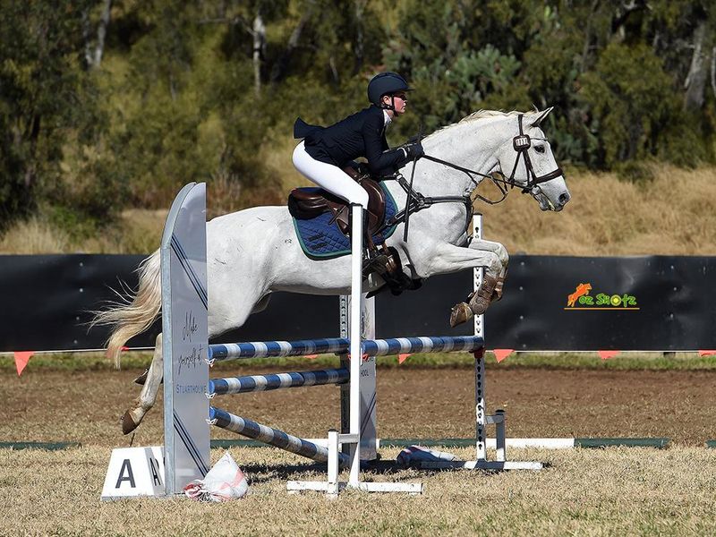 Show jumping School Master