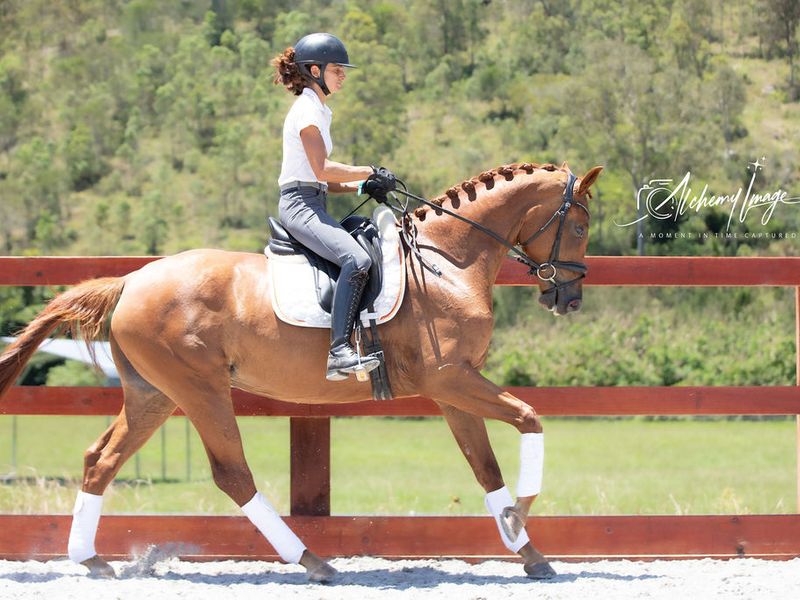 🍯💛 AS SWEET AS THEY COME 💛🍯