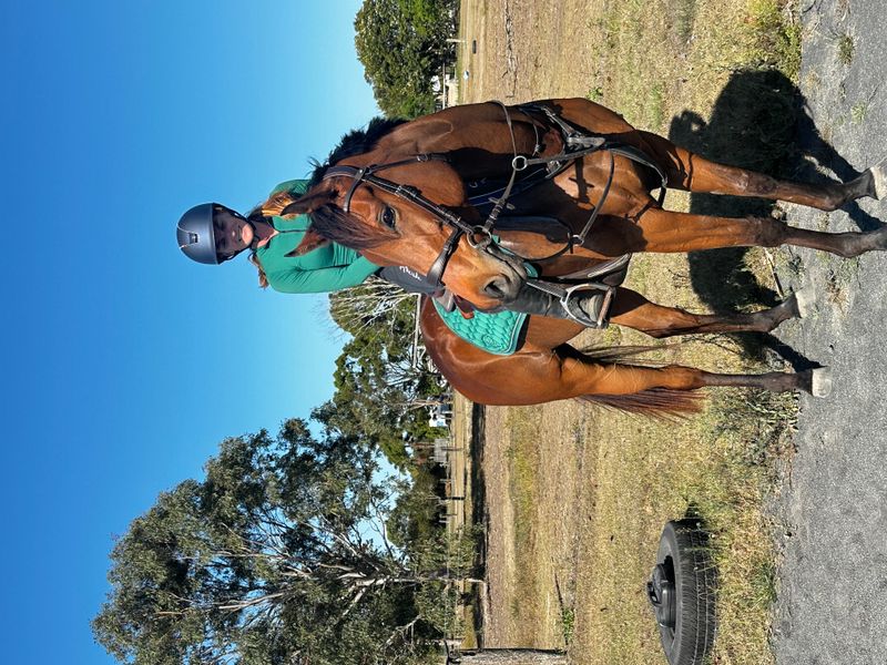 Talented 5yo with Serious Jumping Potential