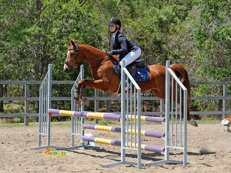 Wyevale Shooting Star - "Star"