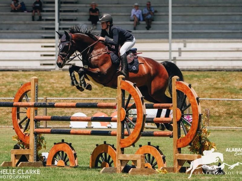 Top Young Rider Show Jumper