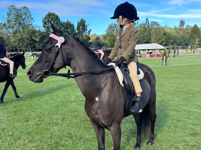 Cadbury Kisses - kids competitive pony