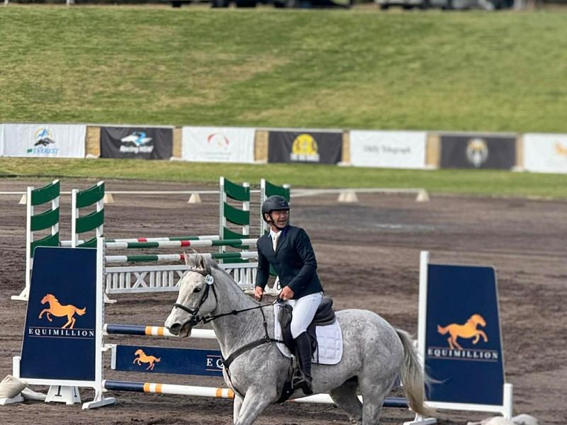 Samaras Choice  17hh thoroughbred gelding