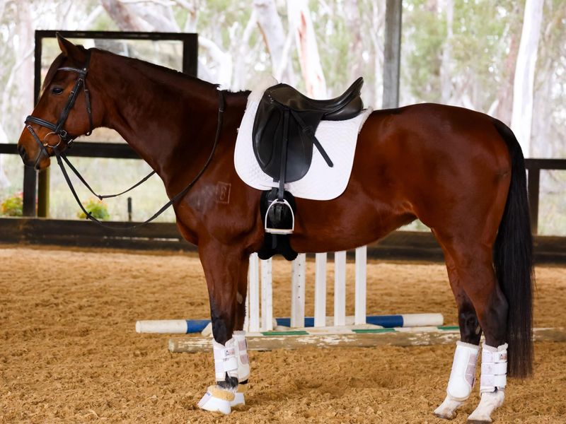 Flashy, Kind & Ready to Shine