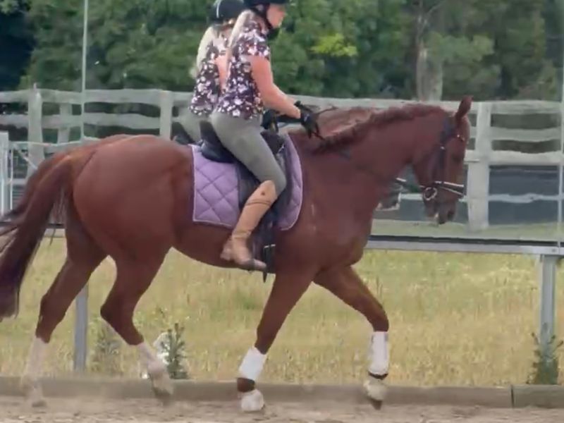 Ready for anything TB 