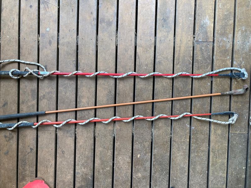 Brand new carrot sticks