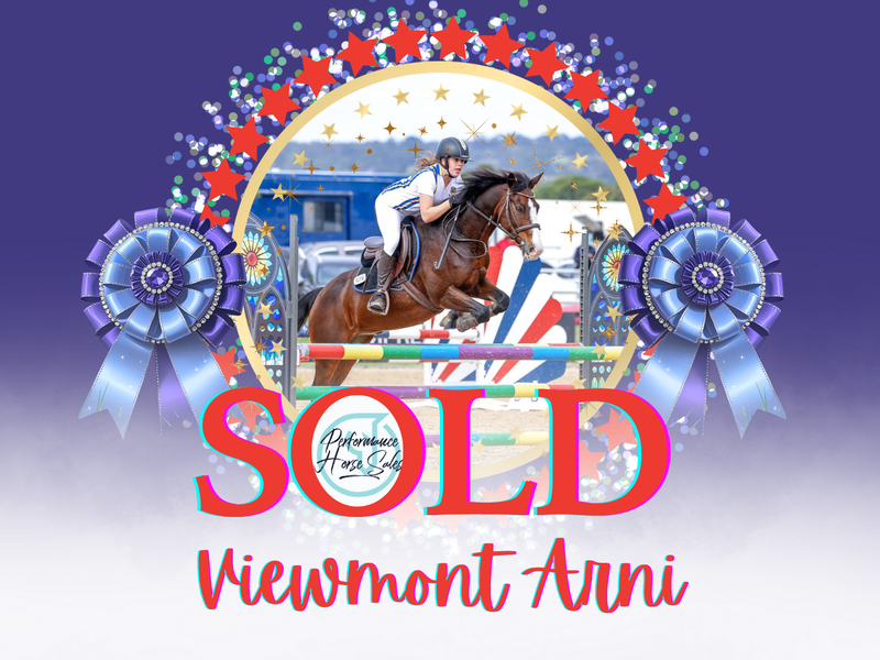 Viewmont Arni - Kid proof competitive schoolmaster