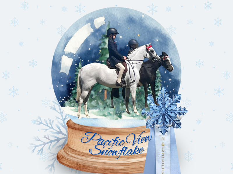 Pacific View Snowflake Aust Pony Mare