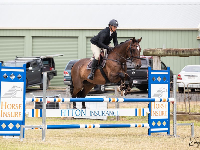 wb mare by Woodleigh Don Juan