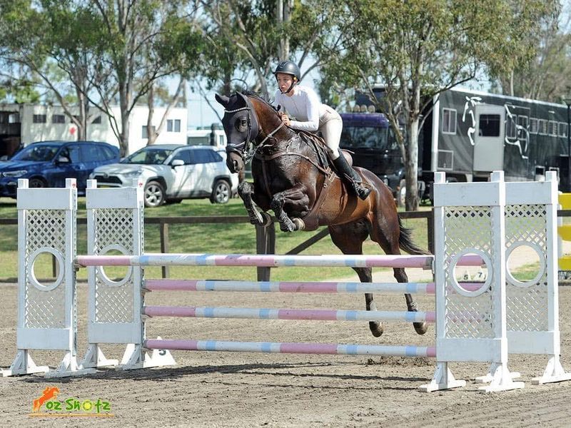 Performance Thoroughbred