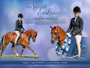 Wynara Sweet Embrace 