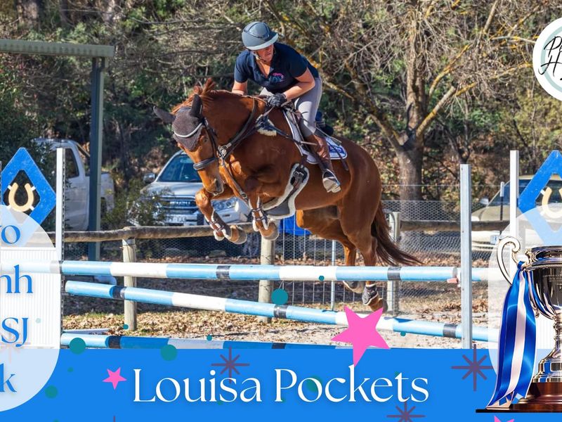 Louisa Pocket - point and shoot 104 SJ