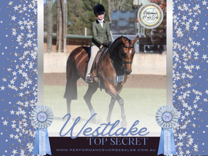 Westlake Top Secret