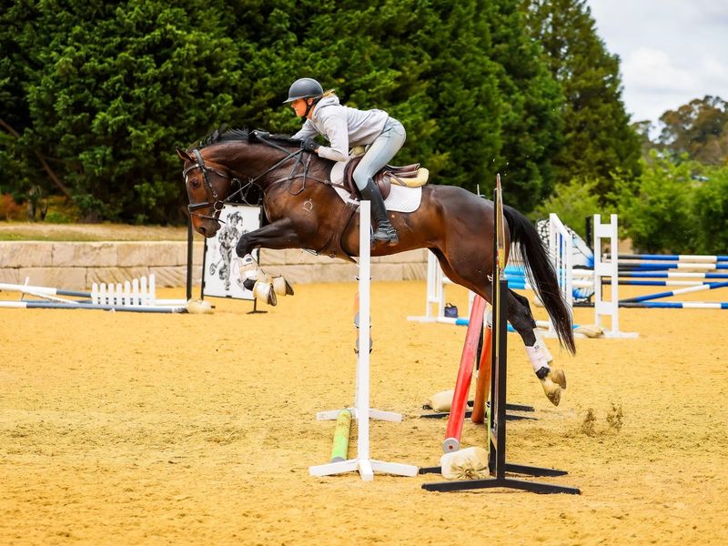 Potential Plus🌟 SJ or Event