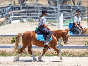 Nawarrah Park Roger Rabbit