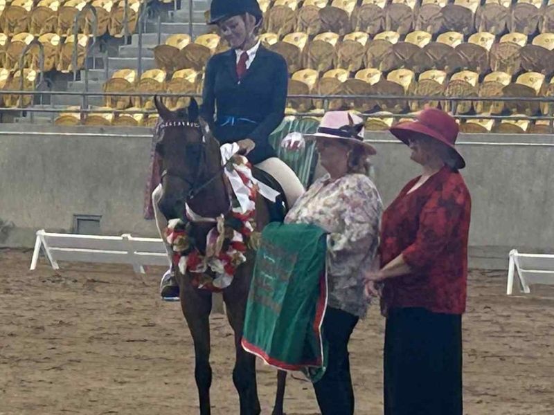 Wideacre London Times 