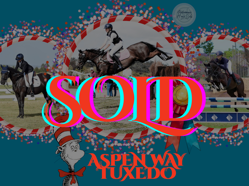 Aspen Way Tuxedo - Superstar EVA95/ 105 Showjumper