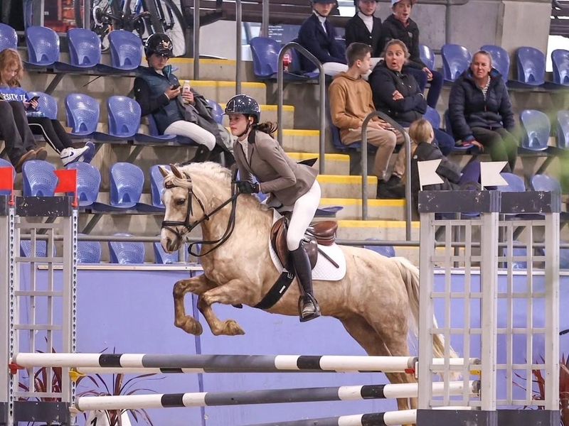 Krystelle Park Blizzard