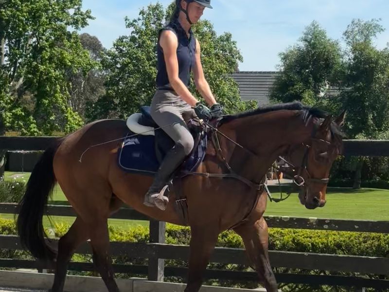 ‘Darwin park Samoa’ 