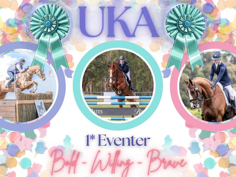 Uka - 2* eventer - ASH x