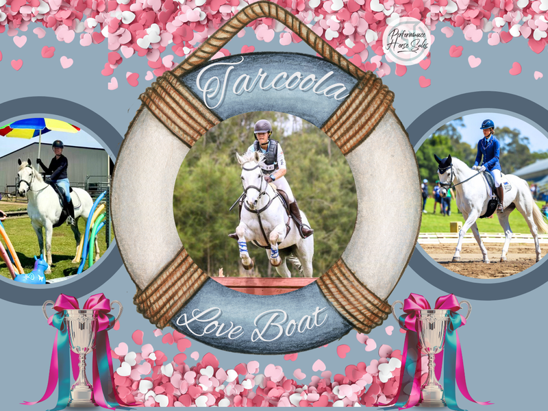 Tarcoola Love Boat: Elementary dress EVA95 UNICORN