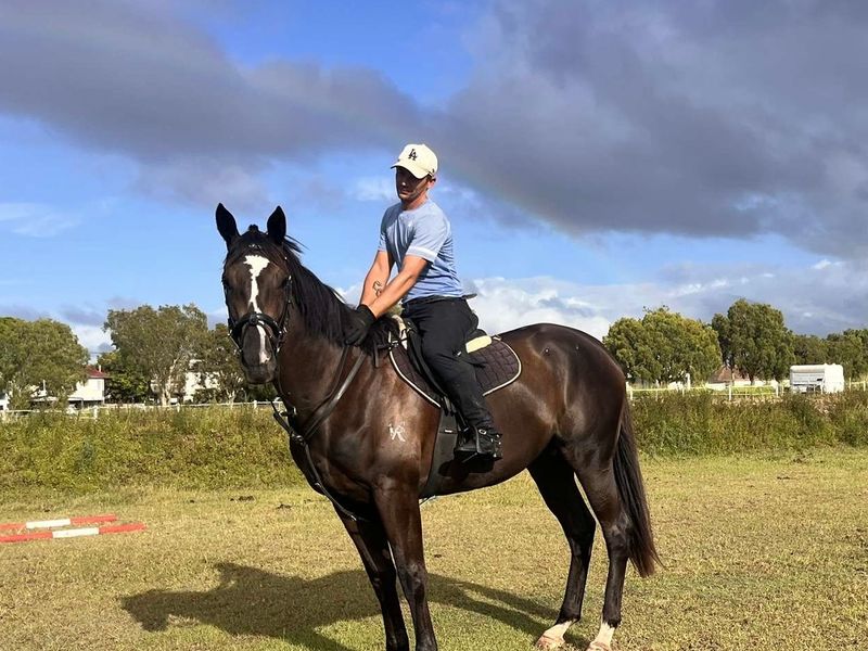 ‘Molly’ 3yo unraced, beautiful TB filly 