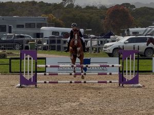 Mt Robinsons Last Chance