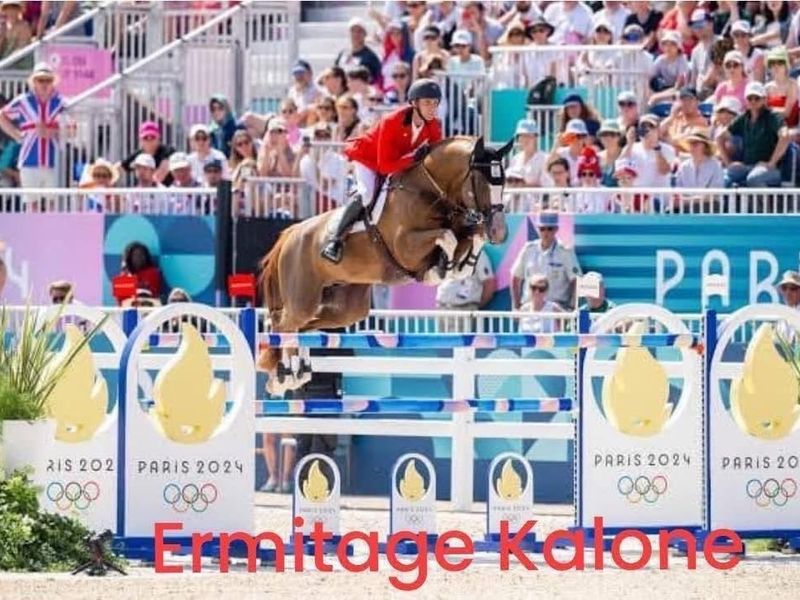 6 yr imp mare infoal Ermitage Kalone 