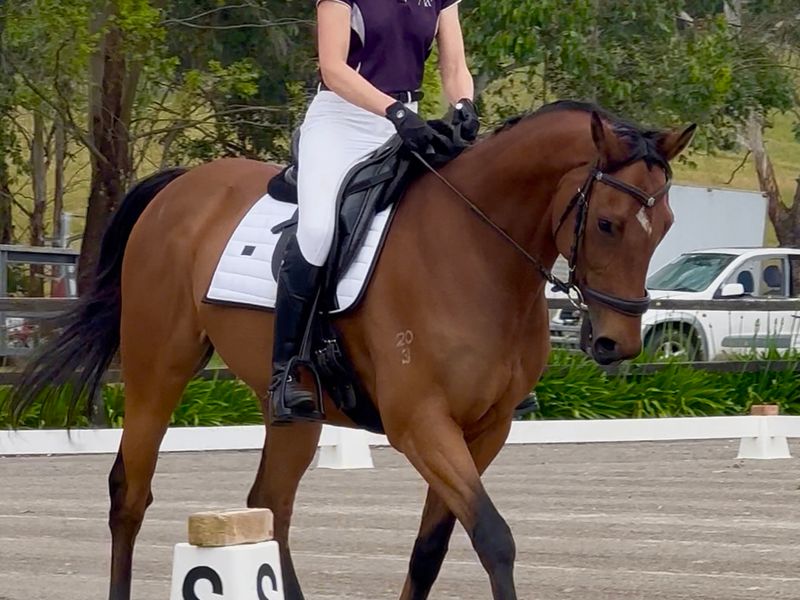 Compact TB allrounder