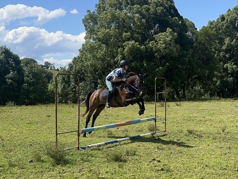 Quiet OTT allrounder.