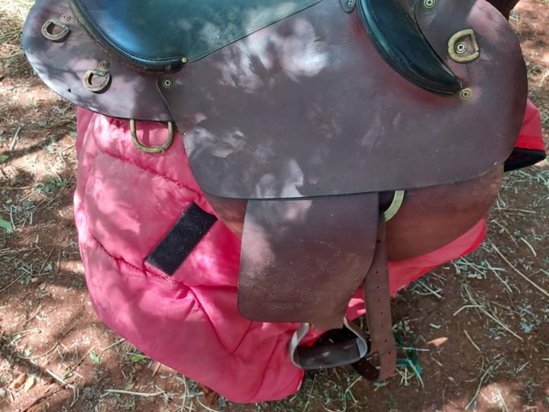 FQHB swinging fender 