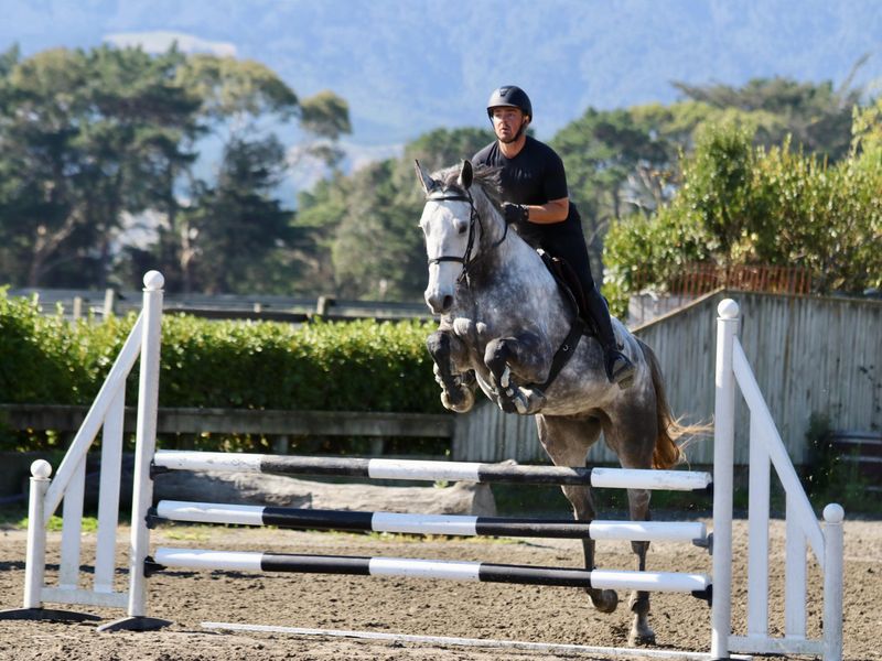 PYTHON XTREME - Ability, Quality & Temperament