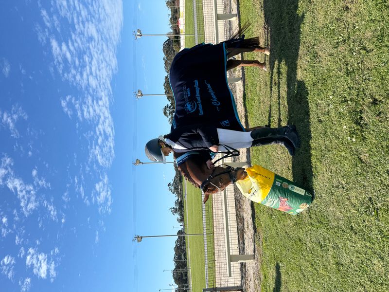 Safe, Reliable, Talented Child’s Pony