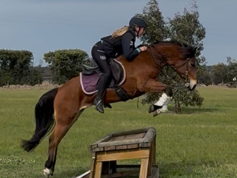 Fun Competitive Kids Pony