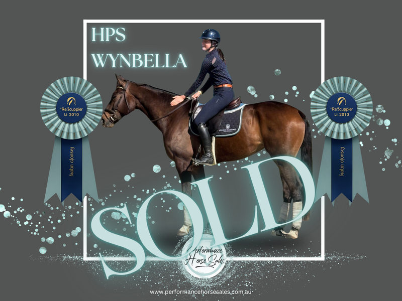 HPS Wynbella - dressage, jump or breed
