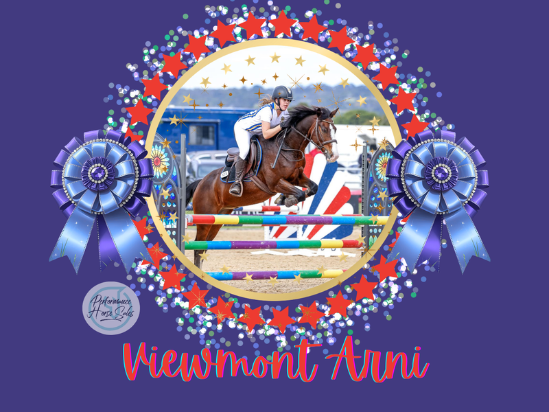 Viewmont Arni - Kid proof competitive schoolmaster