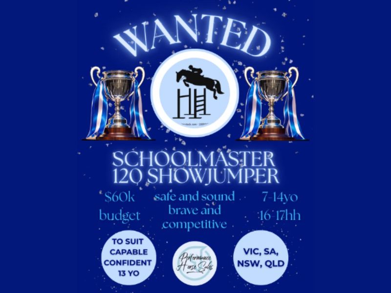 WANTED TO BUY - Clients ready to purchase!