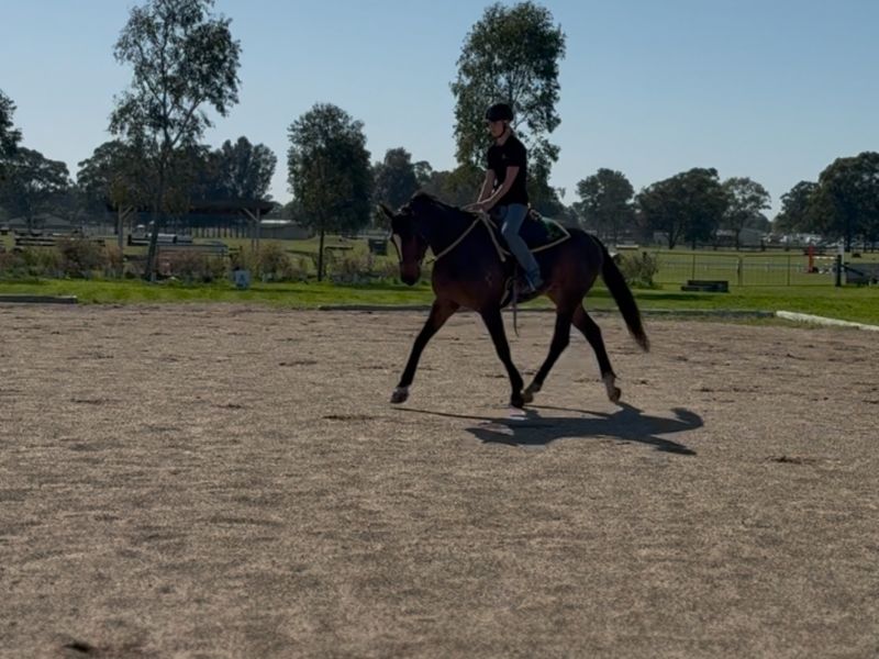 Ultimate All Rounder