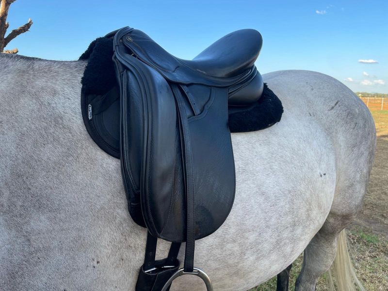 Peter Horobin Amazone