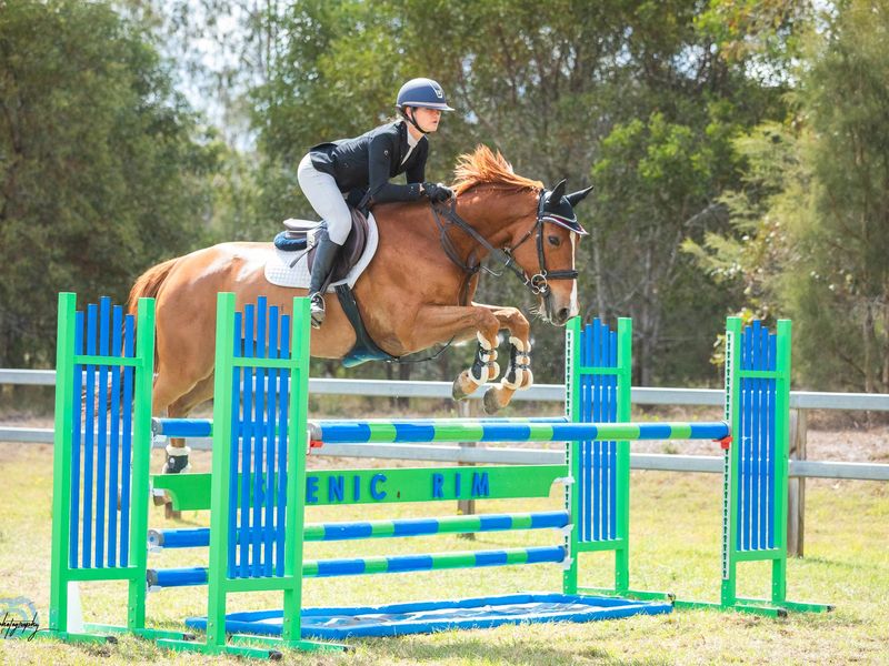 ✨Talented Mare with Bright Future✨