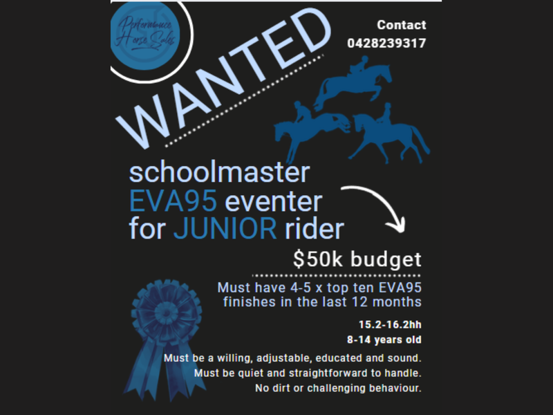 WANTED - Proven JUNIOR'S EVA95/ 1* Eventer