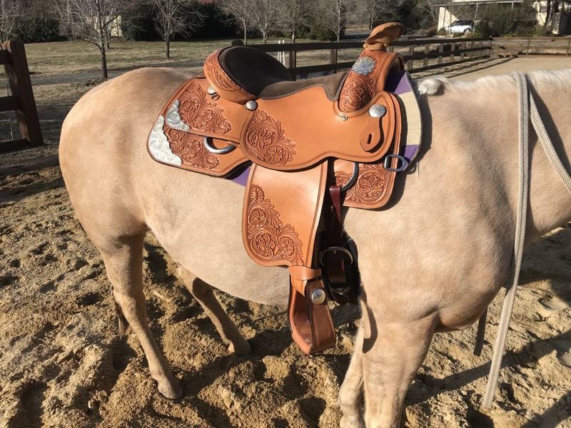 Cow horse saddle with horn