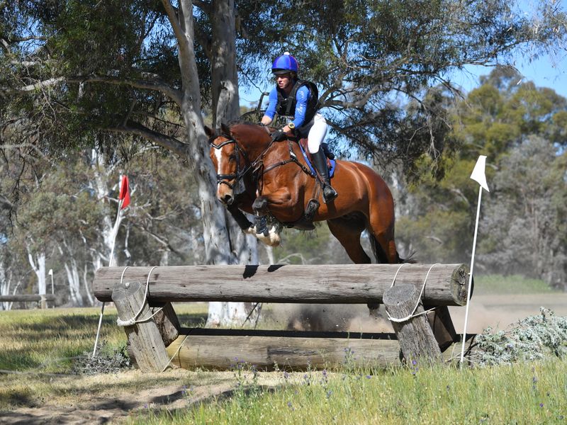 Nawarrah Park Law and Order