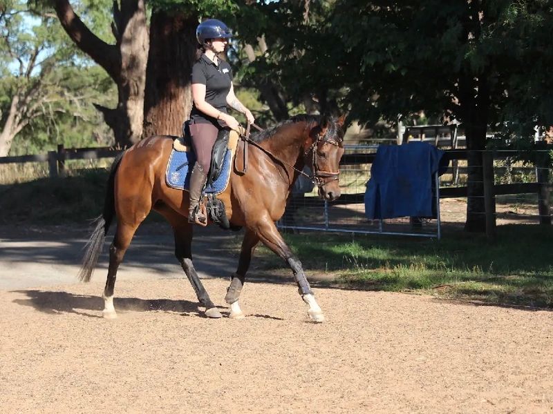 Outstanding Allrounder Prospect