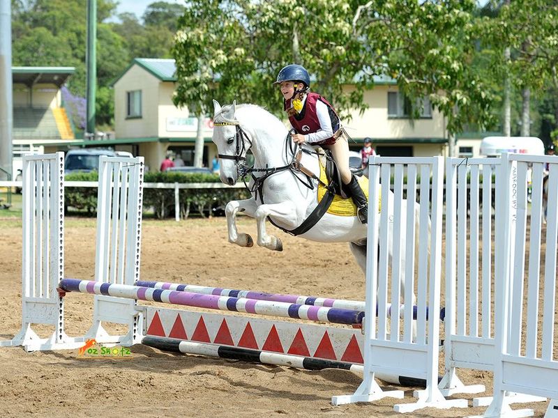 Moondale Is So-Perfect Allrounder