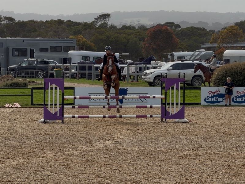 Mt Robinsons Last Chance 