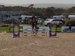 Mt Robinsons Last Chance