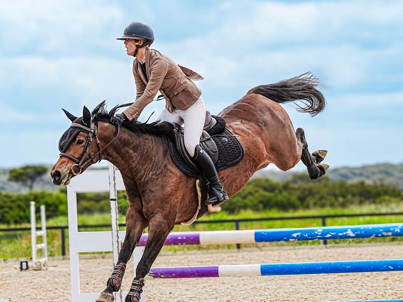 🏆 “Big-Horse Scope in a Compact Package 🏆